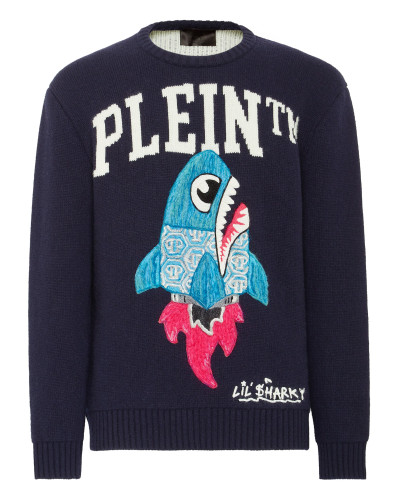 Merino Wool Pullover Round Neck LS